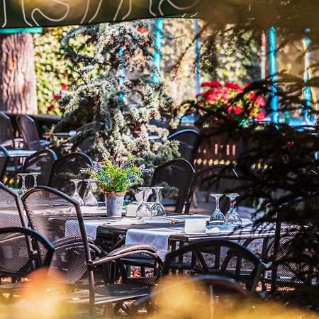 Hotel Cornul Vanatorului Питешти Экстерьер фото