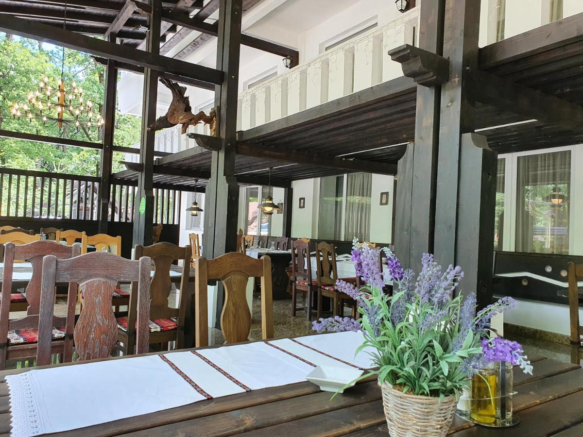 Hotel Cornul Vanatorului Питешти Экстерьер фото