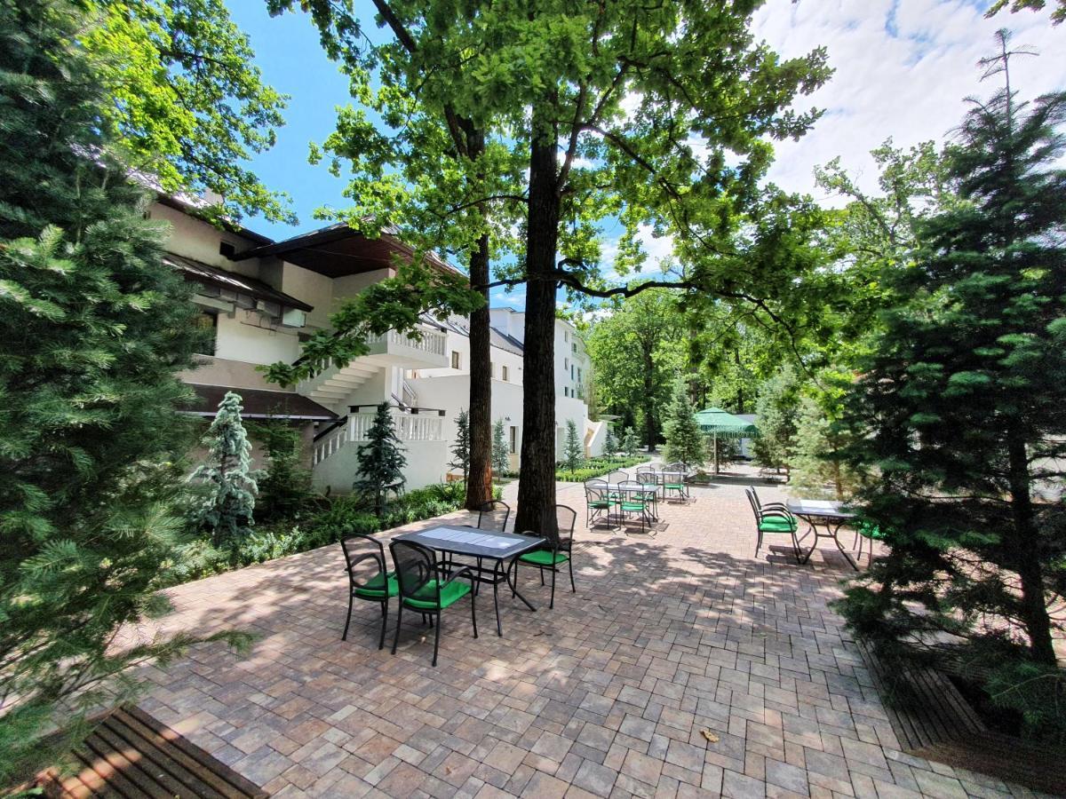 Hotel Cornul Vanatorului Питешти Экстерьер фото