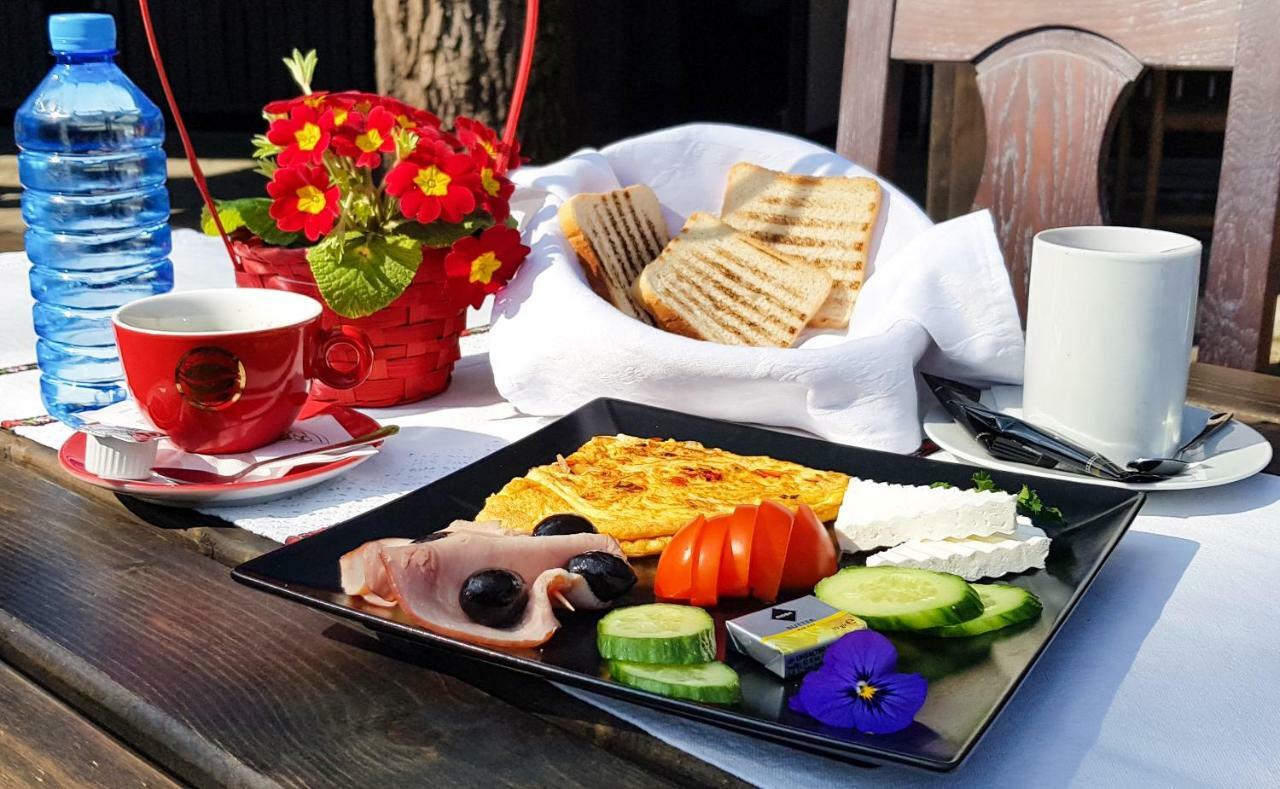 Hotel Cornul Vanatorului Питешти Экстерьер фото