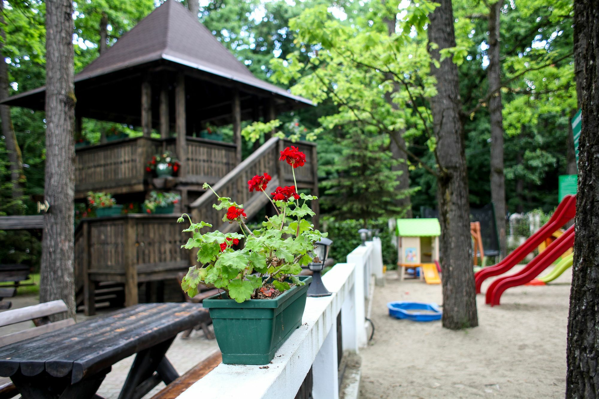 Hotel Cornul Vanatorului Питешти Экстерьер фото